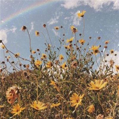 乐鱼官网手机app下载