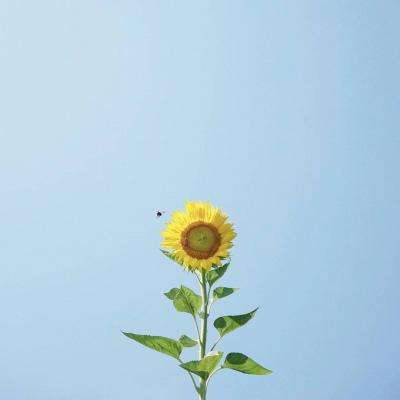 AG大厅网址手机app下载