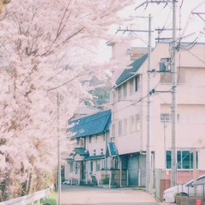 星空体育app下载下载手机版截图