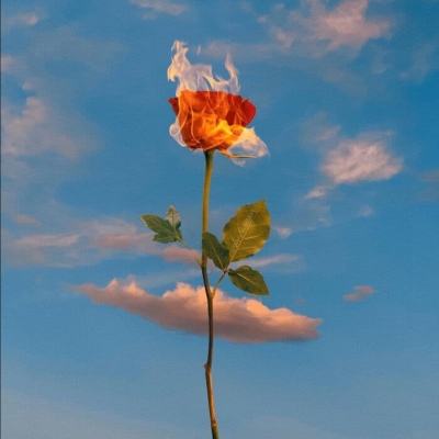 KOKapp下载手机版